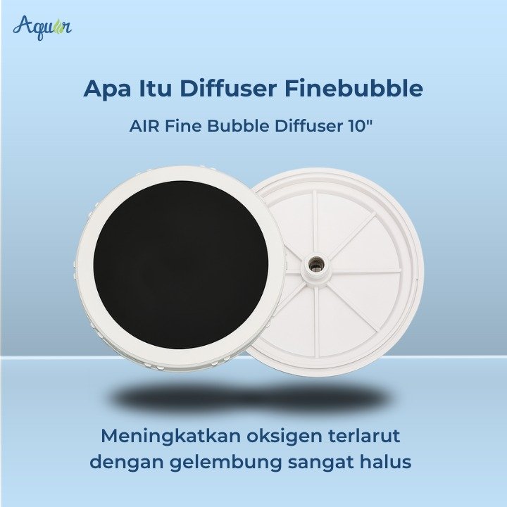 Apa Itu Diffuser Finebubble disc