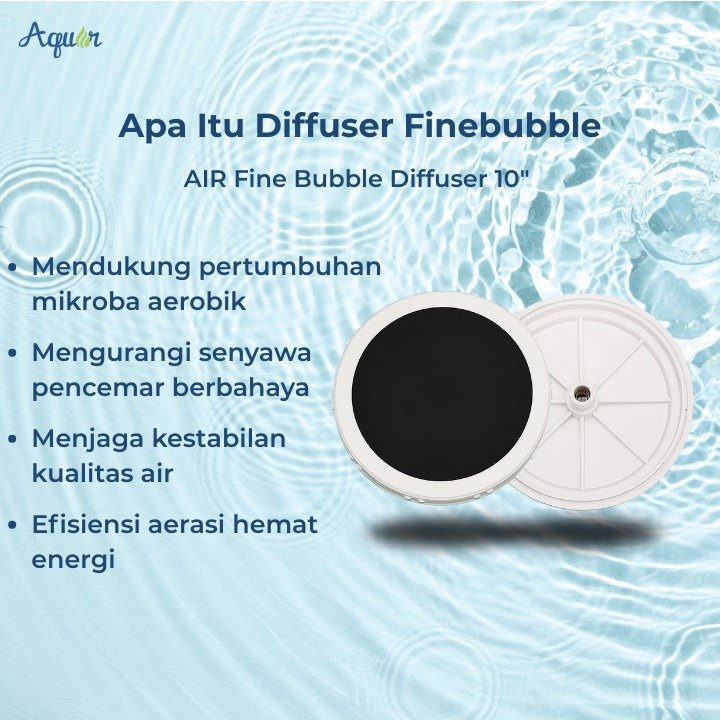 Apa Itu Diffuser Finebubble water treatment